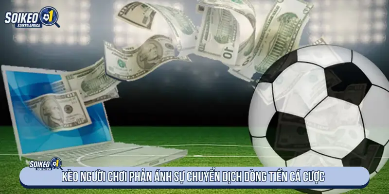 Theo dõi sự thay đổi của tỷ lệ sau mốc mở