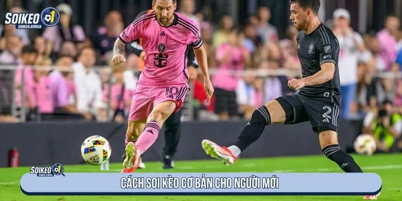 Kiểm tra đội hình trước khi phân tích tỷ lệ bóng đá