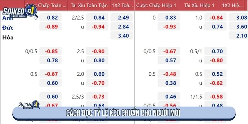 Cách đọc tỷ lệ khi tìm hiểu soi kèo nhà cái là gì