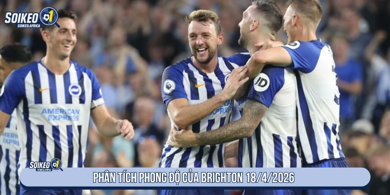 Phong độ Brighton trước trận Tottenham ngày 18/4/2026