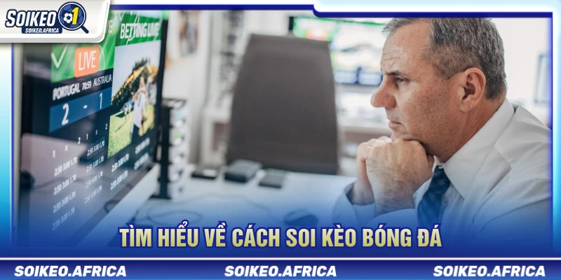 Tìm hiểu cách soi kèo bóng đá theo dữ liệu trước trận