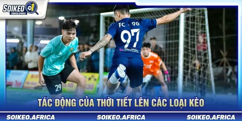Thời tiết ảnh hưởng trận đấu và dữ liệu tỷ lệ trước giờ bóng lăn
