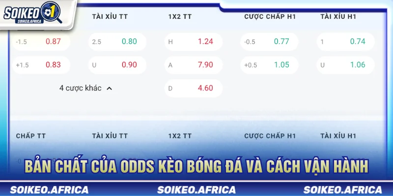 Odds Kèo Bóng Đá Là Gì? Cách Đọc Odds & Biến Động Odds kèo bóng đá là gì và cách đọc trên bảng tỷ lệ
