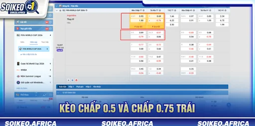 Đọc tỷ lệ kèo châu Á trước trận qua các mốc handicap phổ biến