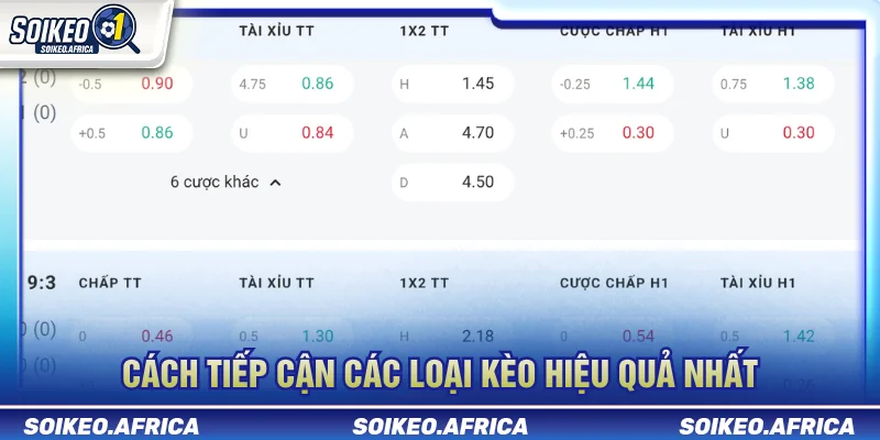 Các Loại Kèo Bóng Đá Phổ Biến Và Cách Đọc Từng Loại Cách tiếp cận các loại kèo bóng đá phổ biến từ cơ bản